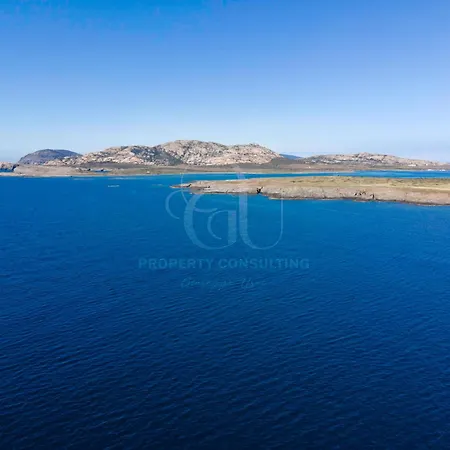 Panorama *